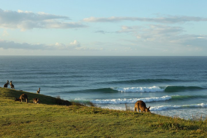 a couple of people on a beach near a body of water