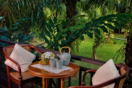 a palm tree on a table