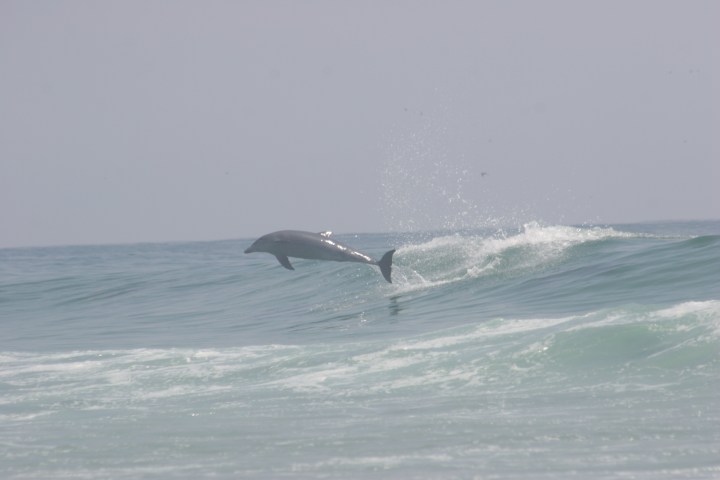 a man riding a wave on a surfboard in the ocean