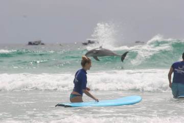 a person and a dolphin riding a wave on a surfboard in the ocean