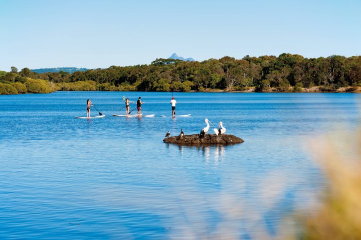 a group of people swimming in a body of water