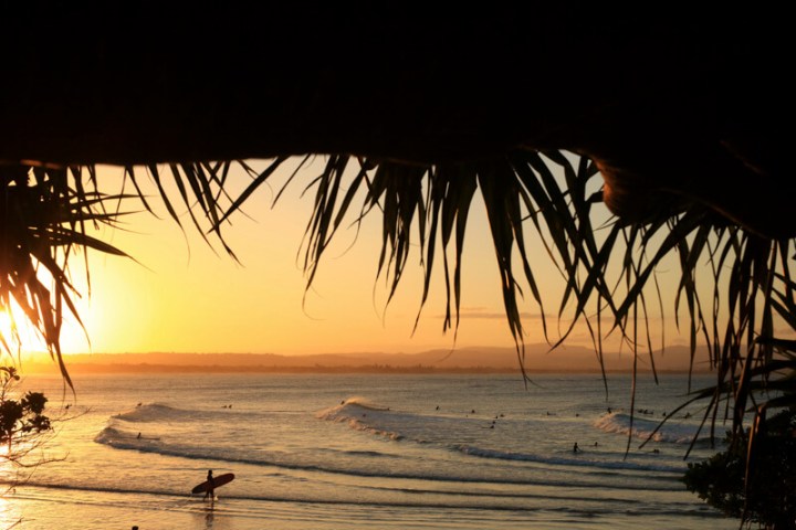 a group of palm trees on a beach near a body of water