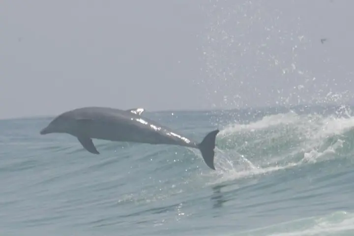 a man riding a wave on a surfboard in the ocean