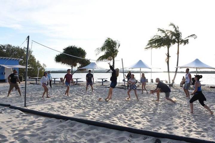 a group of people walking on a beach