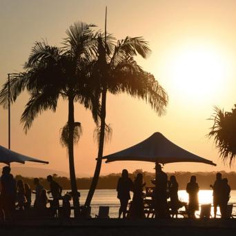 a group of people on a beach with a palm tree